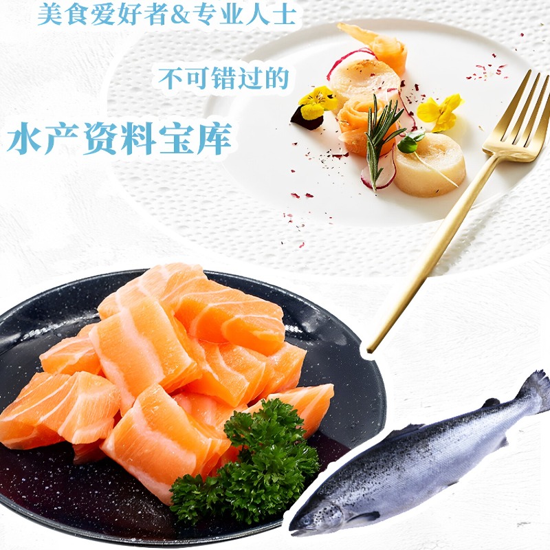 Kookboek voor zeevruchten, DK  - Home Cooking Cookbook recensie en prijs